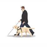 What is the reason behind blind people using guide dogs instead of canes?