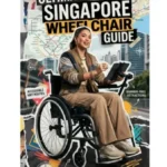 A creative, collage-style travel guide poster titled "ULTIMATE SINGAPORE WHEELCHAIR GUIDE," referenced as "Ultimate Singapore Wheelchair Guide.webp". The center features a smiling young woman seated in a manual wheelchair, dressed in a stylish brown bomber jacket and matching cargo pants. She holds a stylus and interacts with a tablet mounted to her wheelchair. The background is a textured, ripped-paper collage displaying a transit map of Singapore's MRT lines, a city skyline, a compass rose, and abstract colorful paint splatters. Key text highlights include "ACCESSIBLE MRT ROUTES" next to a white wheelchair icon on the left, and "BARRIER-FREE ATTRACTIONS" with an arrow pointing to the right. The image includes professional branding, with the "Special Ed Expert Ali YOUTUBE CHANNEL" logo in the top-left corner and a metallic "DP-HO Disable Persons Health Organization" logo in the bottom-right corner.